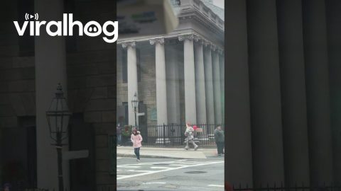 Downtown Boston Clown || ViralHog