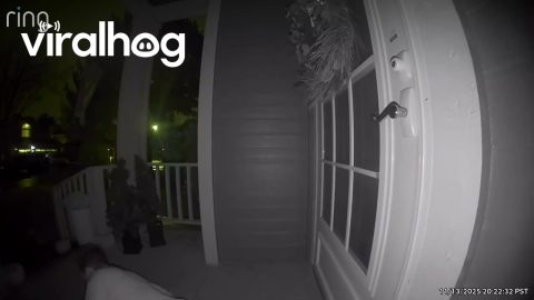 Dad Fetching Blanket Wipes Out On Porch || ViralHog