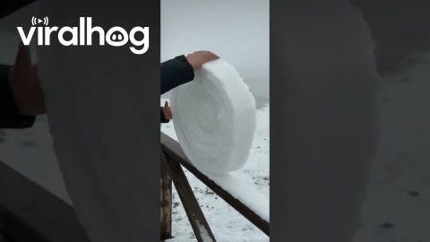 Snow on Handrail Rolls Into Perfect Spiral || ViralHog