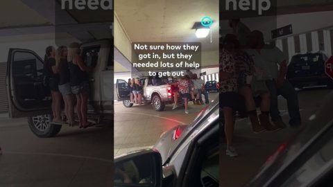 Crowd Helps Weigh Down Too-Tall Truck || ViralHog Shorts