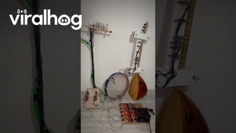 The Turkish Mechatronics Orchestra || ViralHog