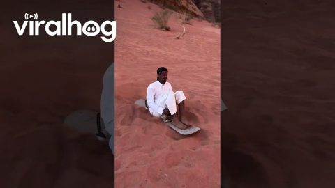 Close Call Sand Sledding in Wadi Ram Desert || ViralHog