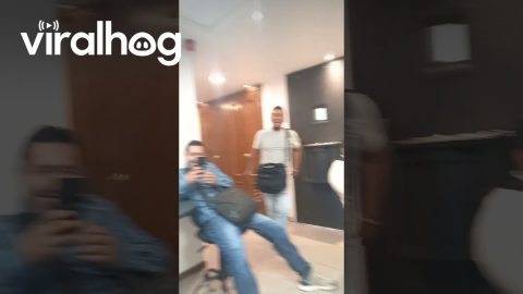Coworkers Light Tiny Christmas Tree || ViralHog