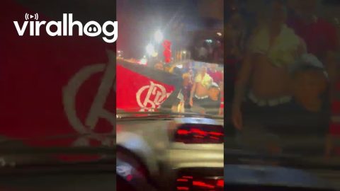 Flamengo Fans Shake Car || ViralHog