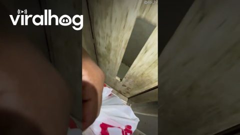 My Airbnb Elevator in Egypt || ViralHog