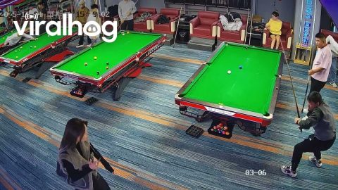 Pool Player Launches Ball Into the Wrong Pocket || ViralHog
