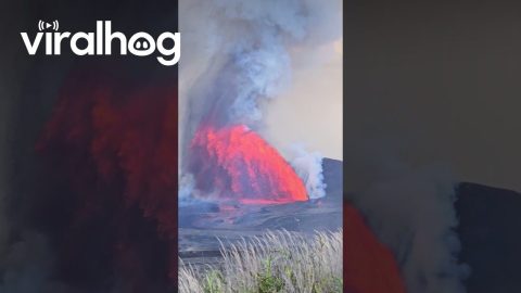 Hawaiian Volcano Eruption || ViralHog