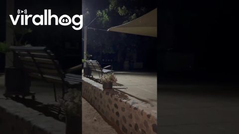 A Surprise Party That Was Not So Surprising || ViralHog