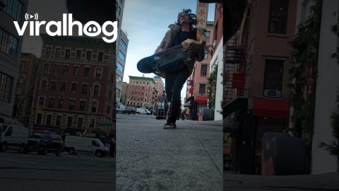 Guy Watching Skate Trick Knocks Over Camera || ViralHog