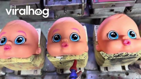 Baby Doll Eye Printing Process || ViralHog