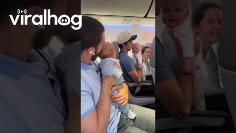 Babies Share Adorable Mid-Flight Interaction || ViralHog