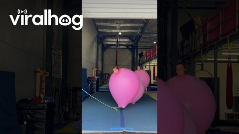 Human Balloon Jump and Trip || ViralHog