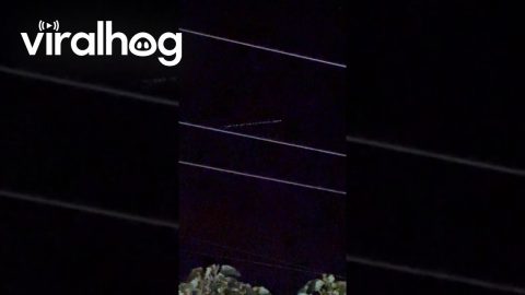 Starlink Satellites Over Paraguay || ViralHog