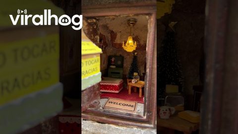 Tiny Mouse House in Madrid Decorated for Christmas || ViralHog