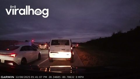 Airplane Landing on I-95 Traffic || ViralHog