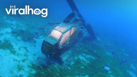 Underwater Cobra Helicopter || ViralHog