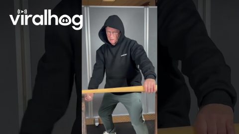 Breaking Baseball Bat With an Egg in Hand || ViralHog