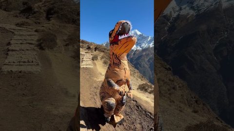 T-Rex Takes on the Himalayas || ViralHog