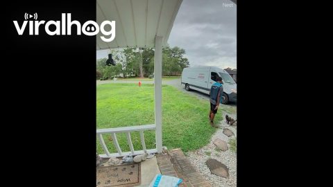 Singing Amazon Delivery Driver Stops To Pet Cat Named Squirrel || ViralHog
