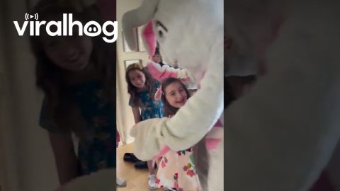 Easter Bunny Ruins Holiday When Costume Falls Off || ViralHog