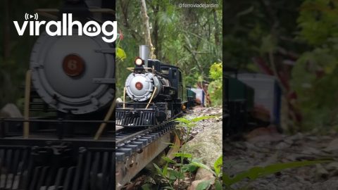 Model Train in Nature || ViralHog