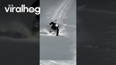 Swimming in Snow || ViralHog