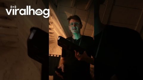 Insanely Bright Glow in the Dark Wall || ViralHog