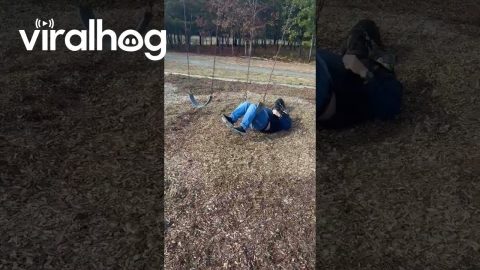 Dad and Dog Fall Off Swing || ViralHog