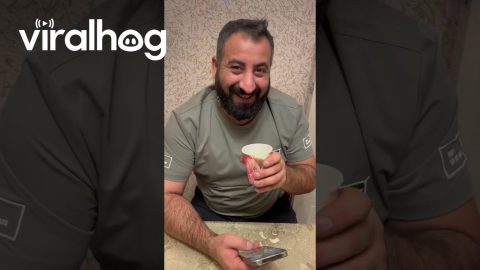 How to Drink Tea With a Big Nose || ViralHog
