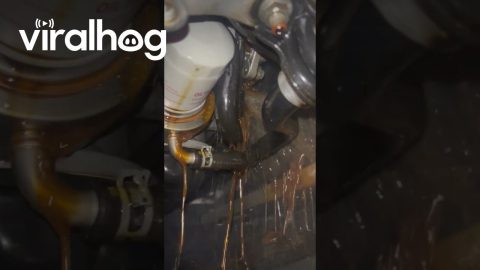 POV: You Found the Leak || ViralHog