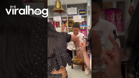 Red Cross Fairground Visitor Delighted to Win an Apple Watch || ViralHog