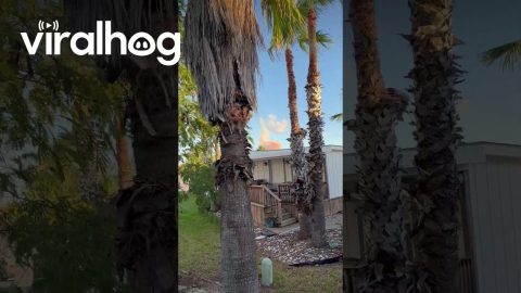 Rocket Launch Rattles Nearby Home || ViralHog