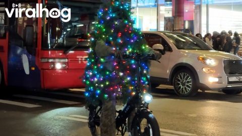 Christmas Gone Wrong 🎄 Funny Christmas Fails || ViralHog