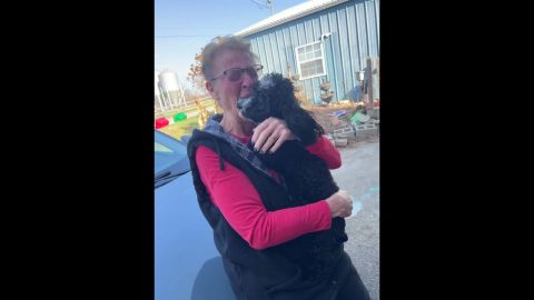 Owner Reunites With Dog for Christmas || ViralHog