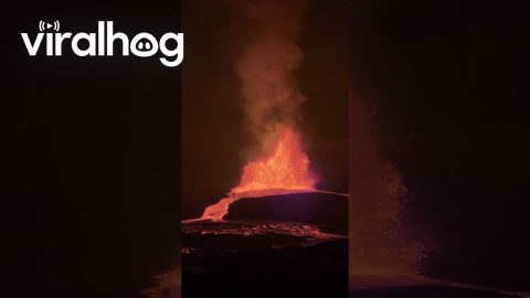 Kilauea's 37th Eruption || ViralHog