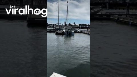 Boat Ramp Chaos at Port of Siuslaw Marina || ViralHog