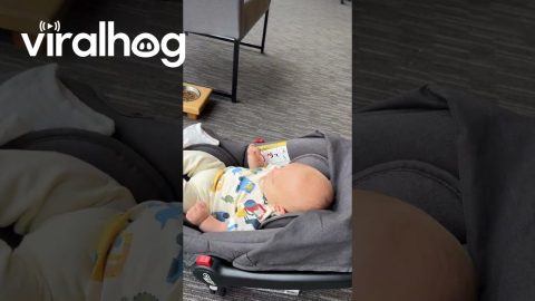 Baby Watches Window Cleaners || ViralHog