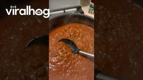 Sausage Spaghetti || ViralHog