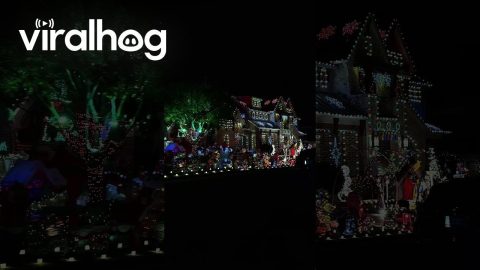 Maximalist Christmas Decor || ViralHog