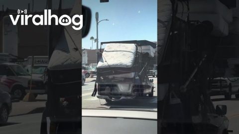 Mattress Bounces Towards Freedom || ViralHog