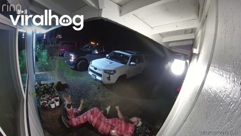 Matching Onesies, Matching Slips || ViralHog