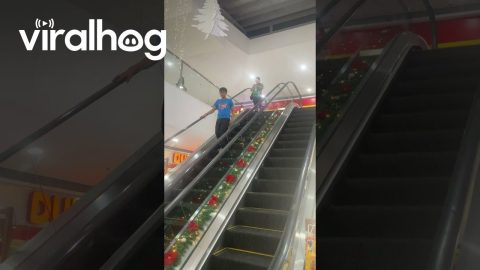 Woman Distracted By Receipt Doesn't Move On Broken Escalator || ViralHog