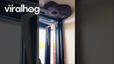 Creative Guitar Door Chime in Cleveland, Ohio || ViralHog