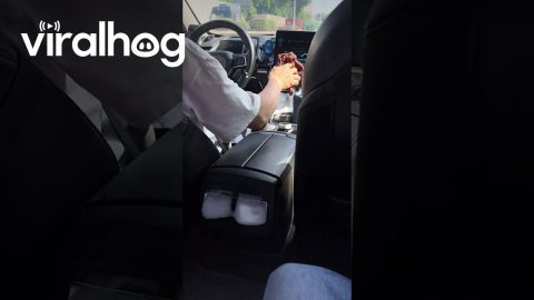 Foam Bubbles Emerge From Car AC Vent || ViralHog