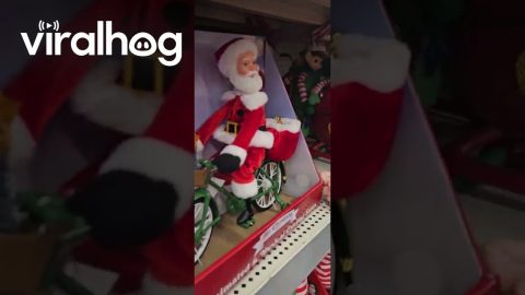 Even Santa Is on Ozempic || ViralHog