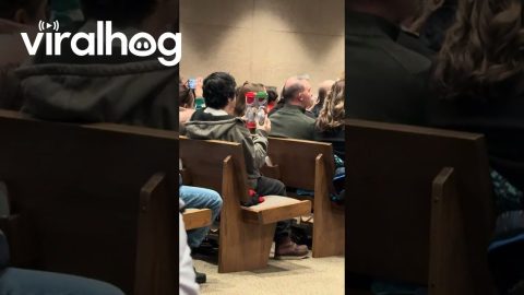 Elves In Held Tubes Watch Christmas Performance || ViralHog