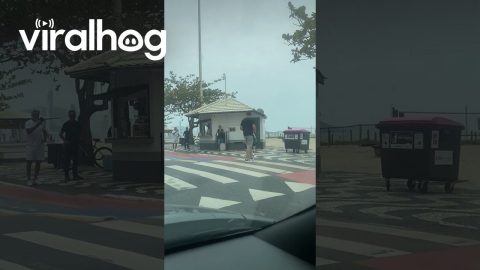 Man Pilots Walking Robot Across Pedestrian Crossing || ViralHog