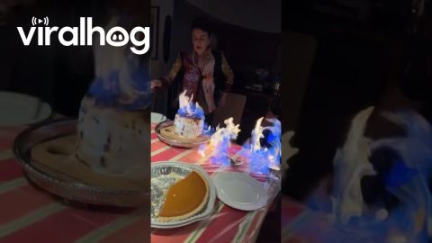 Grandma's Baked Alaska Birthday Cake Fail || ViralHog