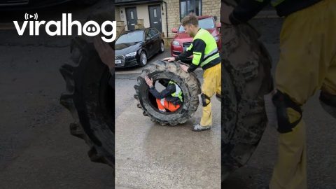 Funny Roofers Doing the Human Tire Roll || ViralHog