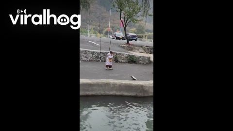 Four-Year-Old Girl Catches Big Fish || ViralHog